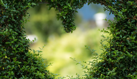 'Hoe word je een groene kerk?' Doe mee met webinar GroeneKerken op 21 oktober