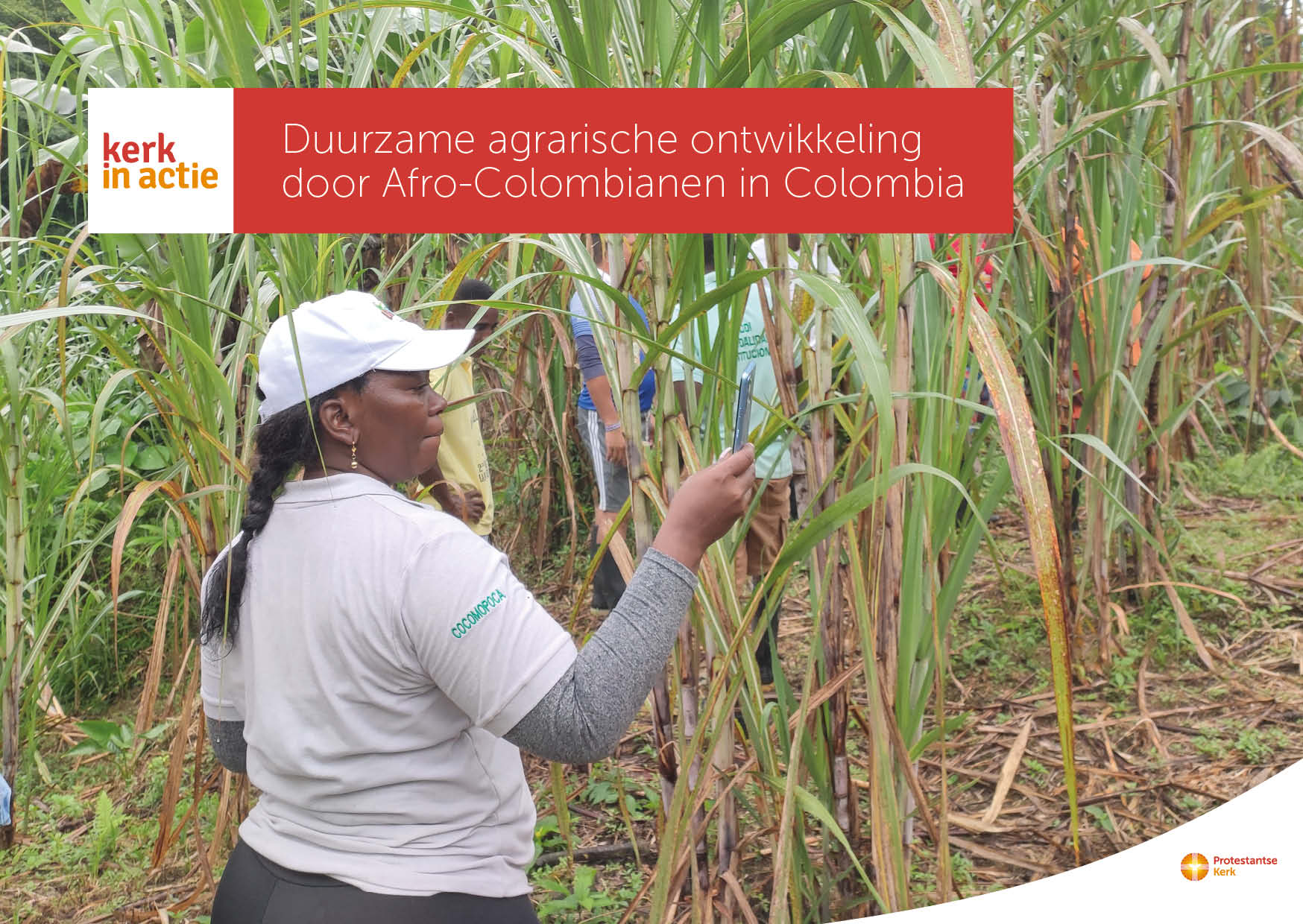 Duurzame agrarische ontwikkeling door Afro-Colombianen | Kerk in Actie